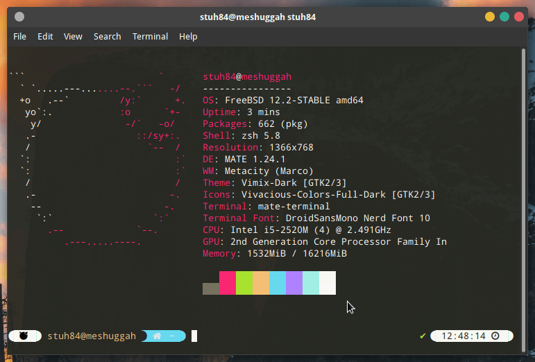 Meshuggah Terminal